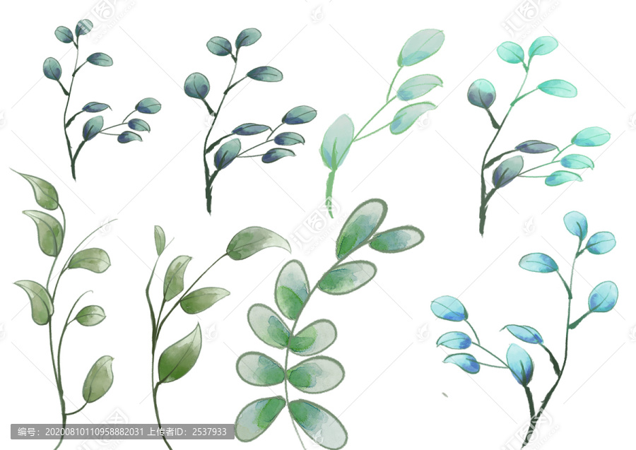 手繪綠色植物綠葉枝條葉子插畫