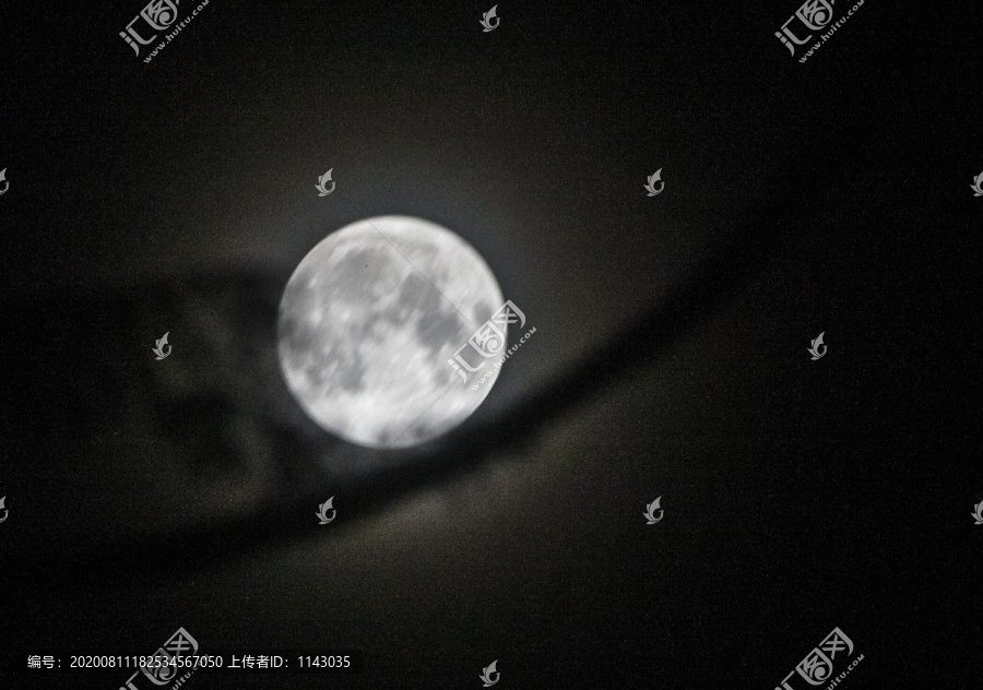 月上枝头圆月圆月亮