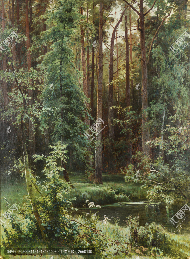 希施金森林風(fēng)景油畫