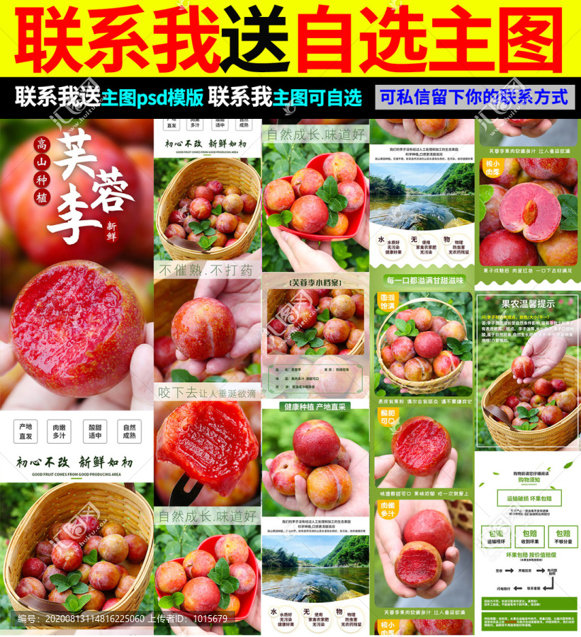 芙蓉李詳情頁