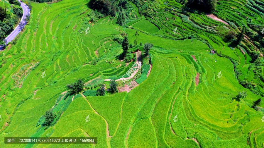 紫鹊界航拍夏景