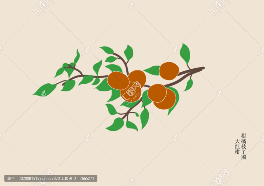大紅柑