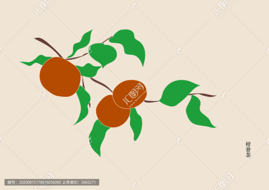 大紅柑柑橘枝插畫