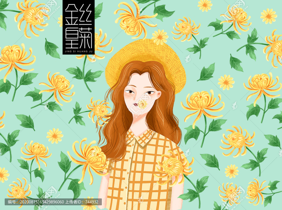 菊花茶包裝
