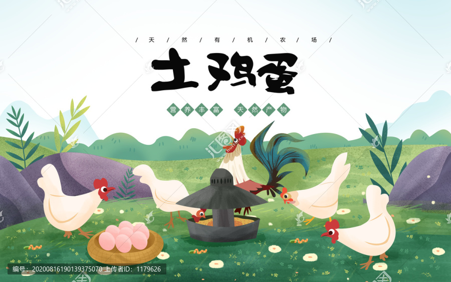 土雞蛋插畫(huà)包裝盒PSD