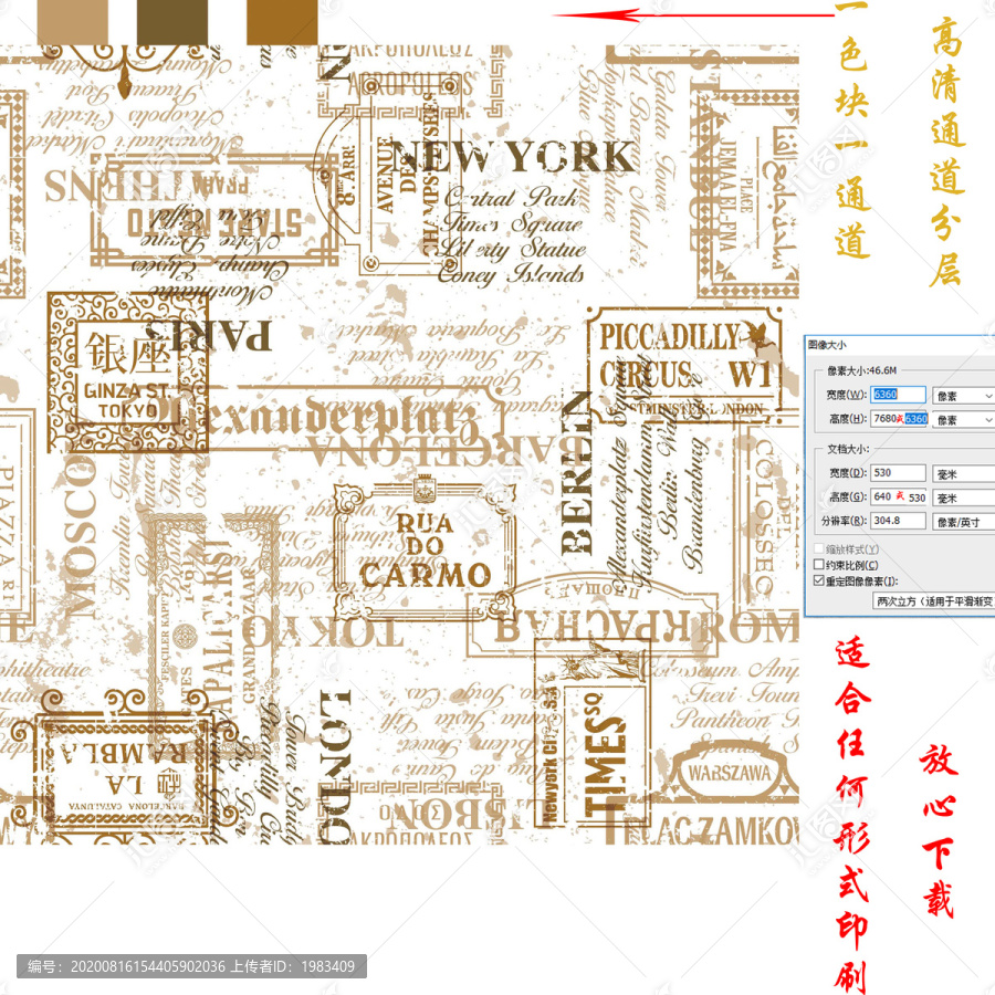 字母