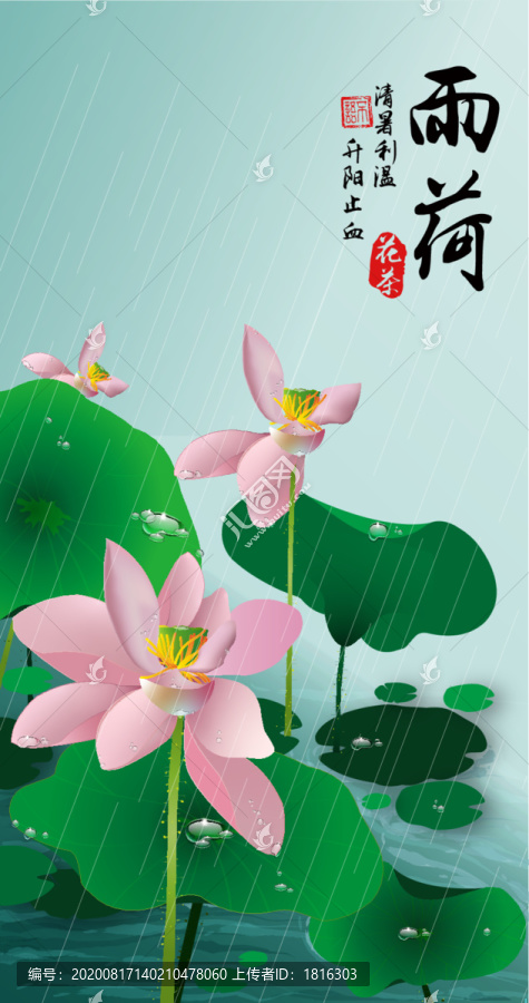 雨荷花茶插畫