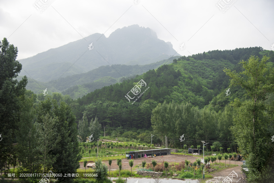 青山绿树