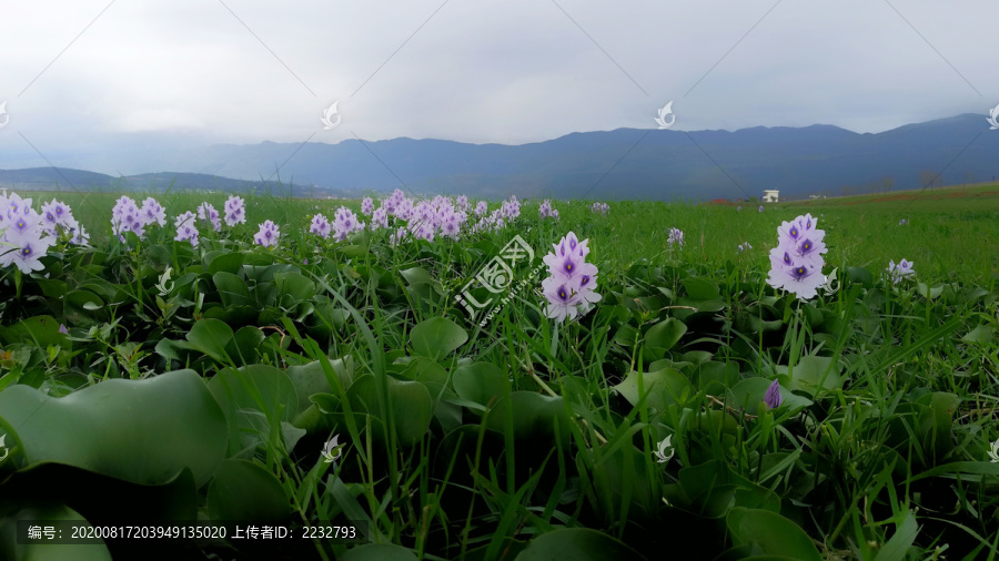 云南红河蒙自长桥海风光