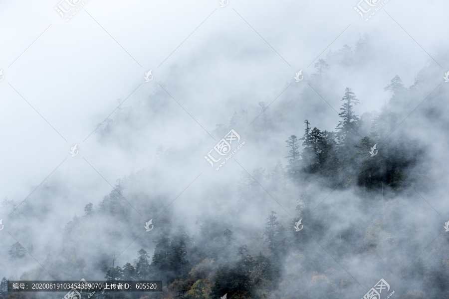 水墨山水1森林