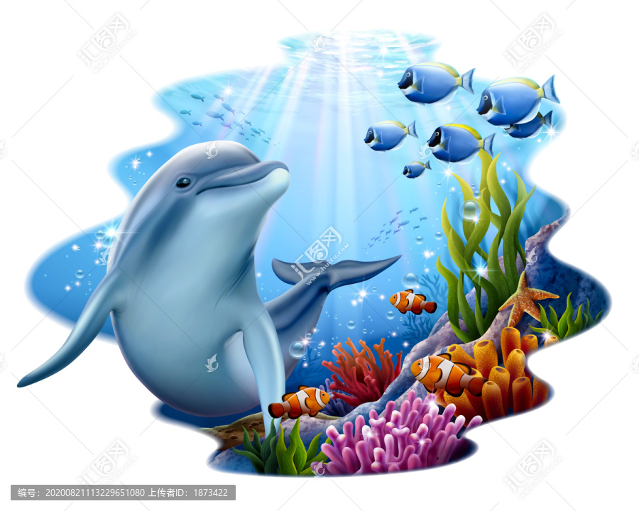 珊瑚礁與海豚插畫