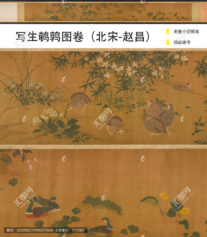 趙昌寫生鵪鶉圖卷