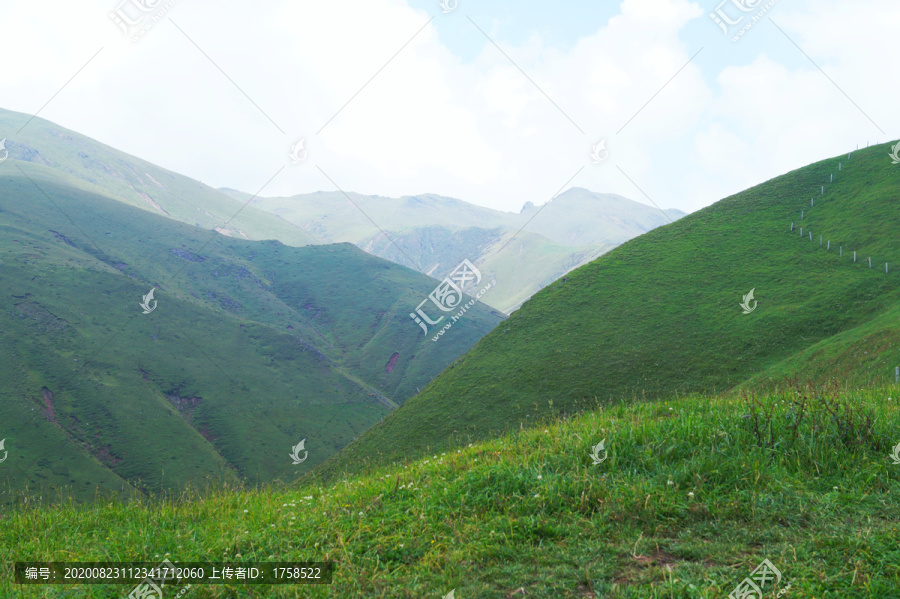 会泽大海草山