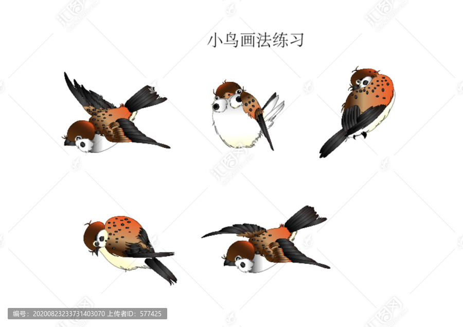 鳥兒