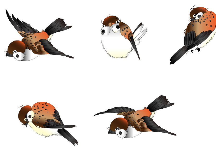 鳥兒