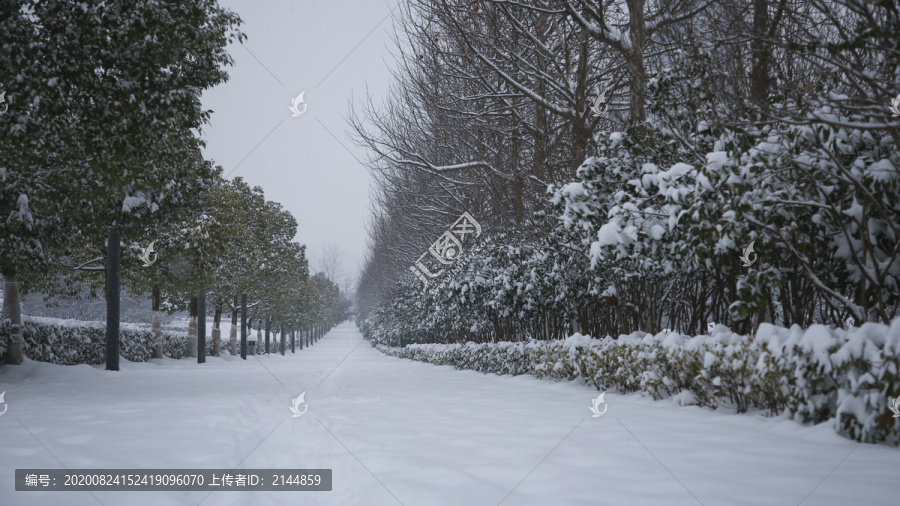 安徽省合肥市翡翠湖风景区冬季雪