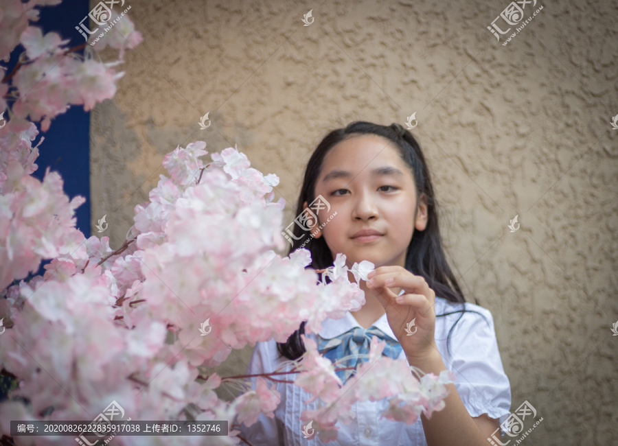 少女和樱花