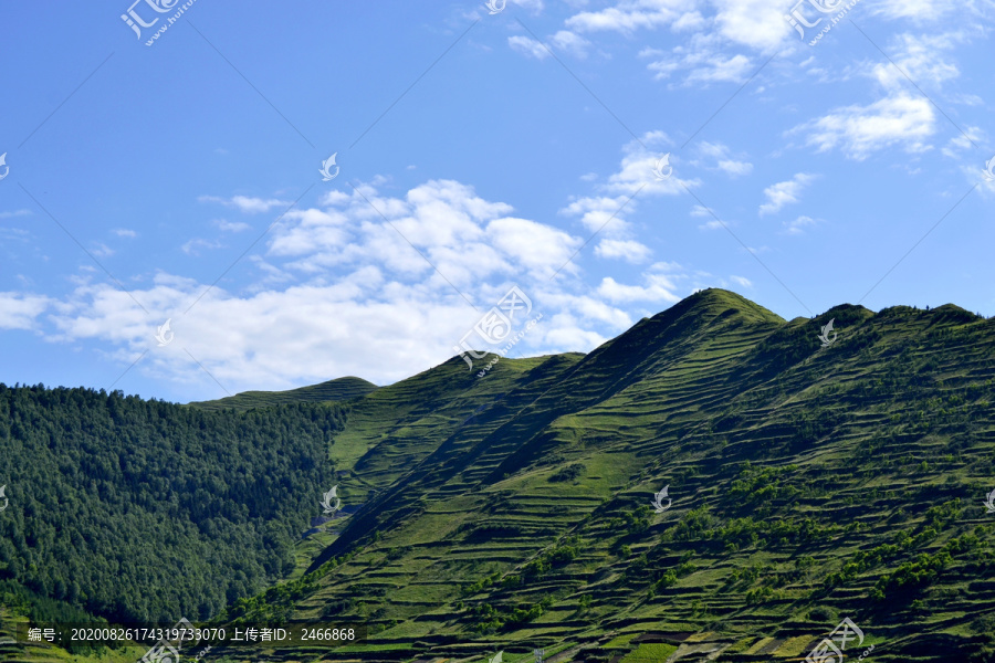 青山绿树