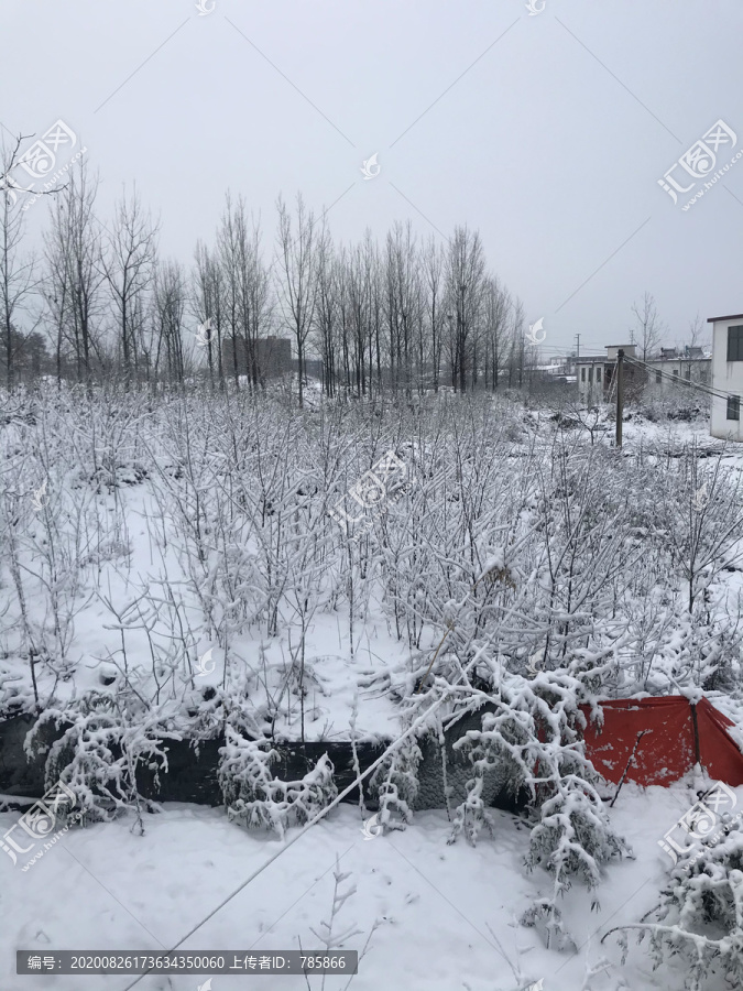 雪景