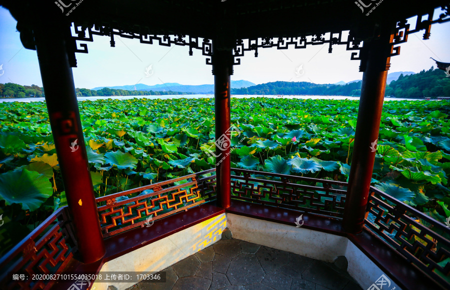 杭州西湖曲院风荷园林景观