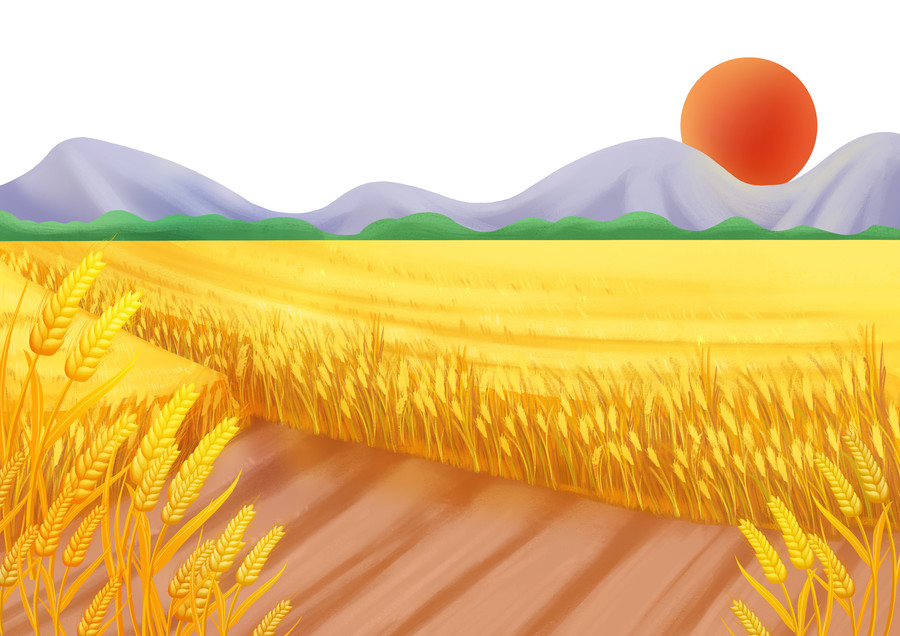 手绘秋天小麦成熟丰收场景插画