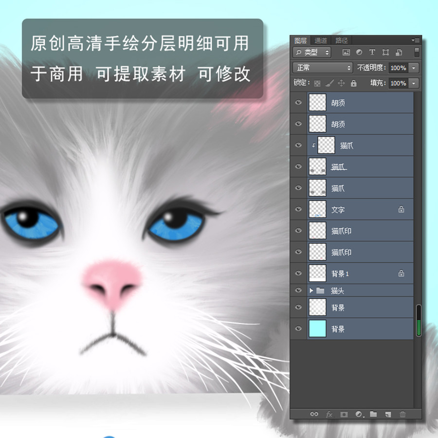 小貓咪