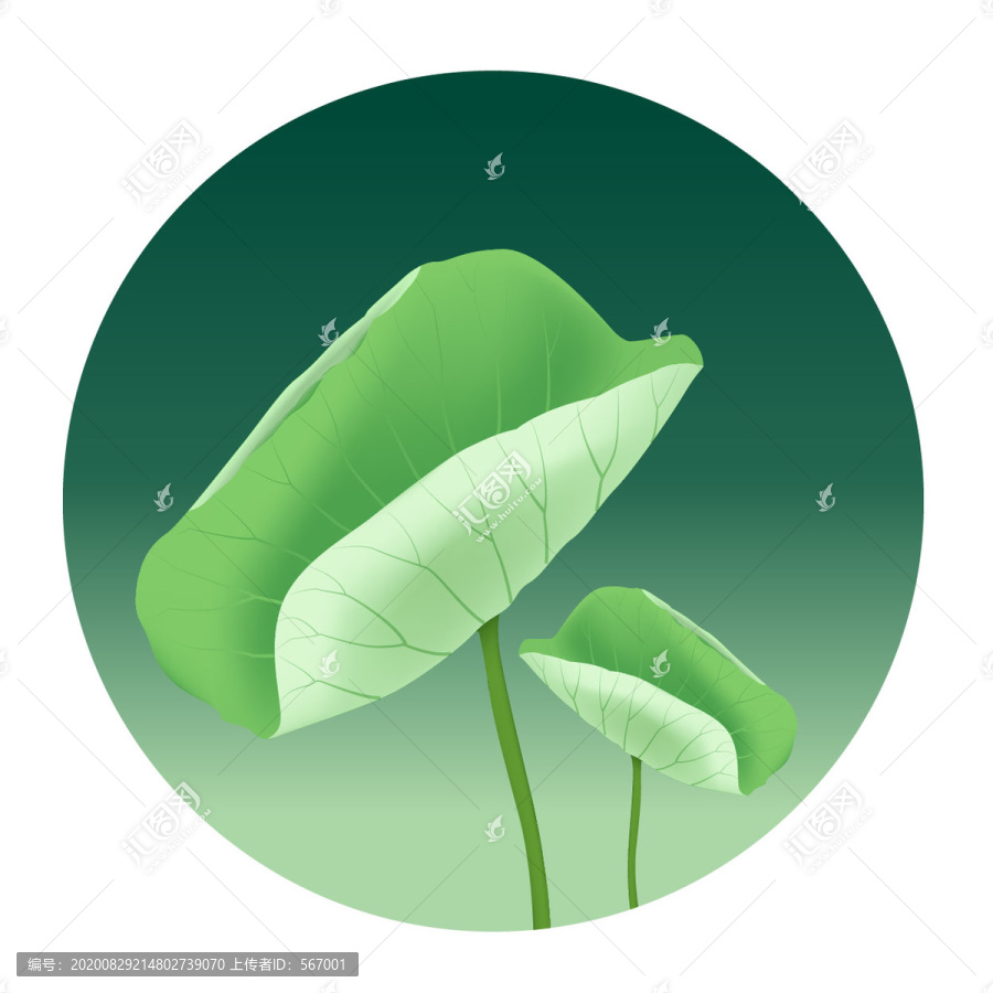 荷葉矢量圖