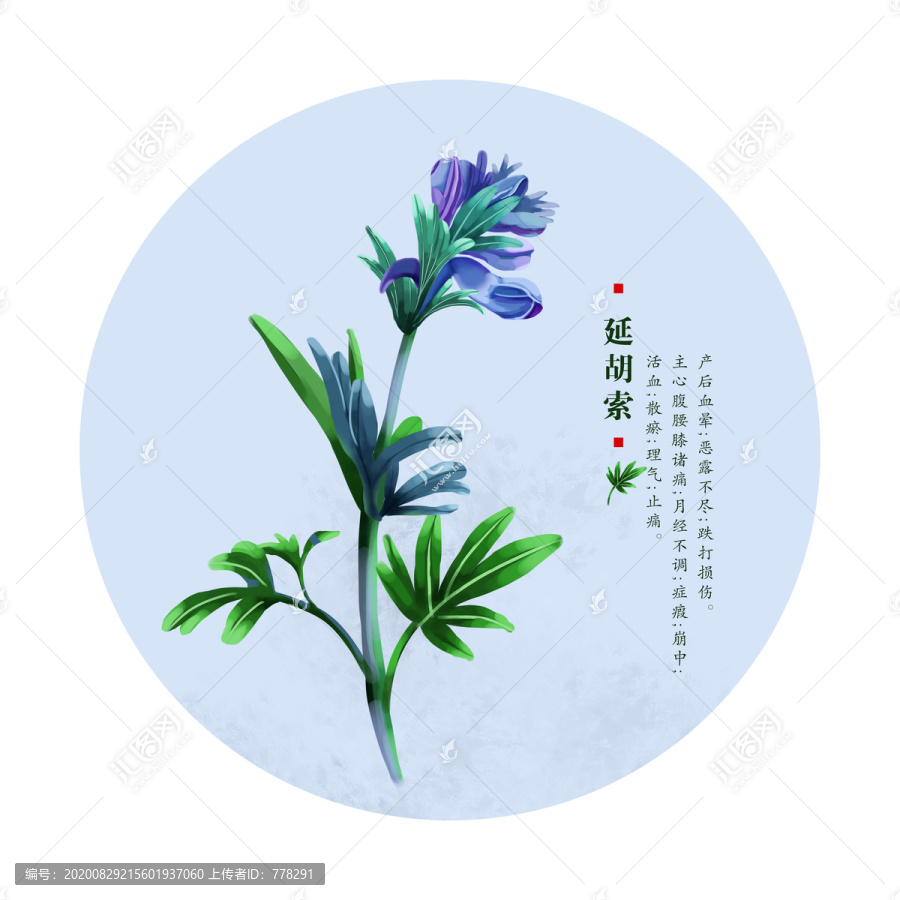 延胡索