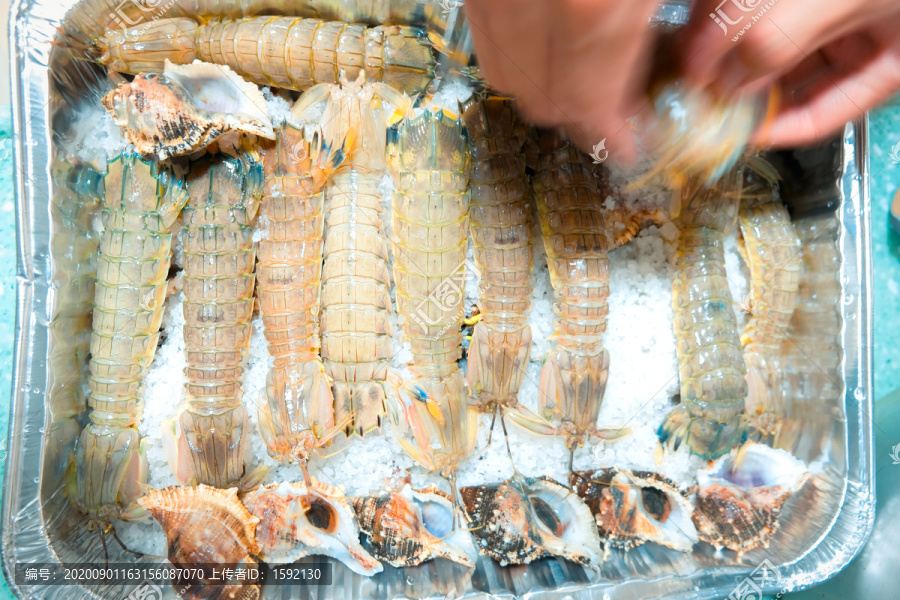 盐焗皮皮虾盐焗濑尿虾制作过程
