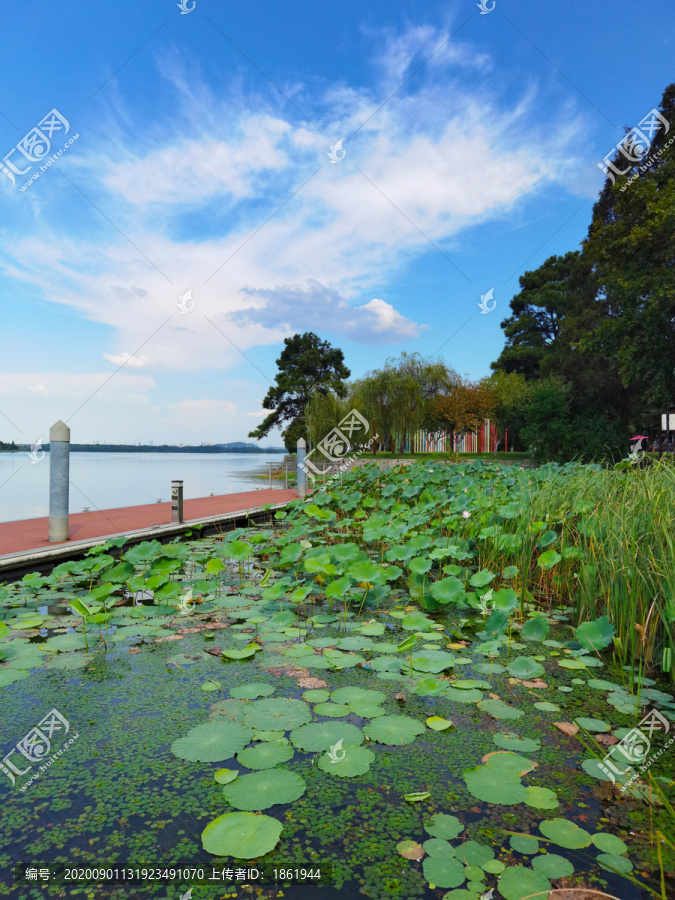 东湖楚城湖中栈道