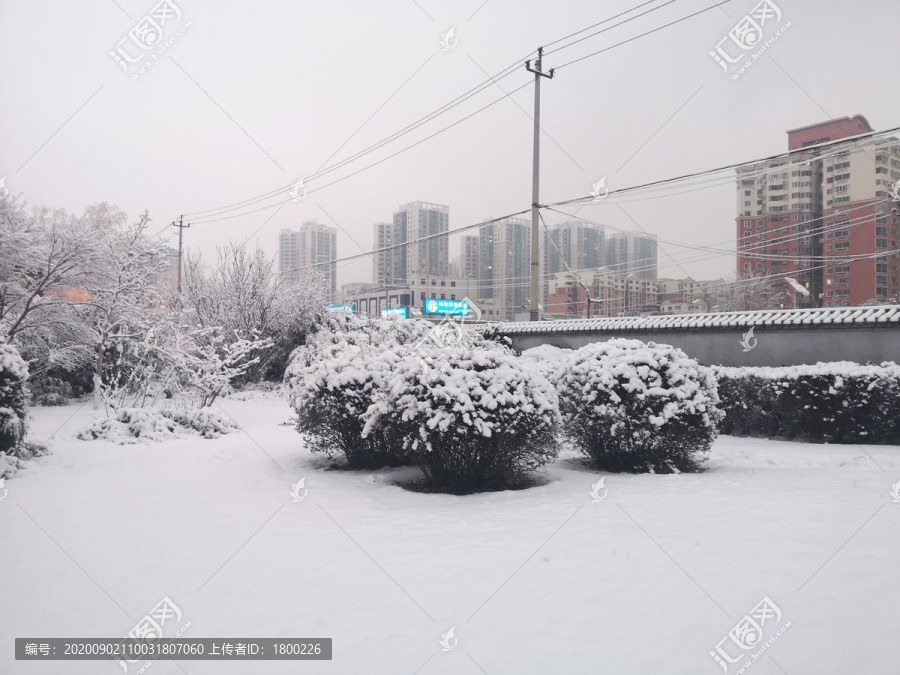 雪景