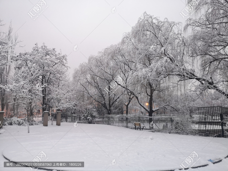 雪景