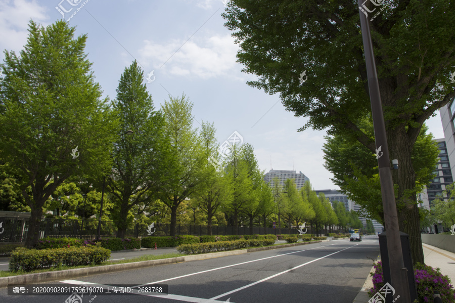 城市道路