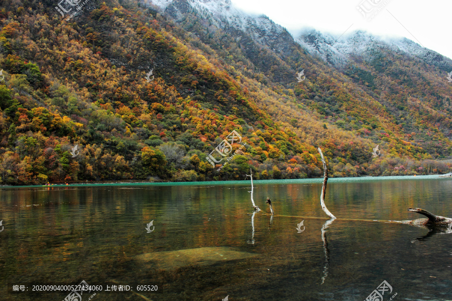 茂县松坪沟秋色彩林湖水