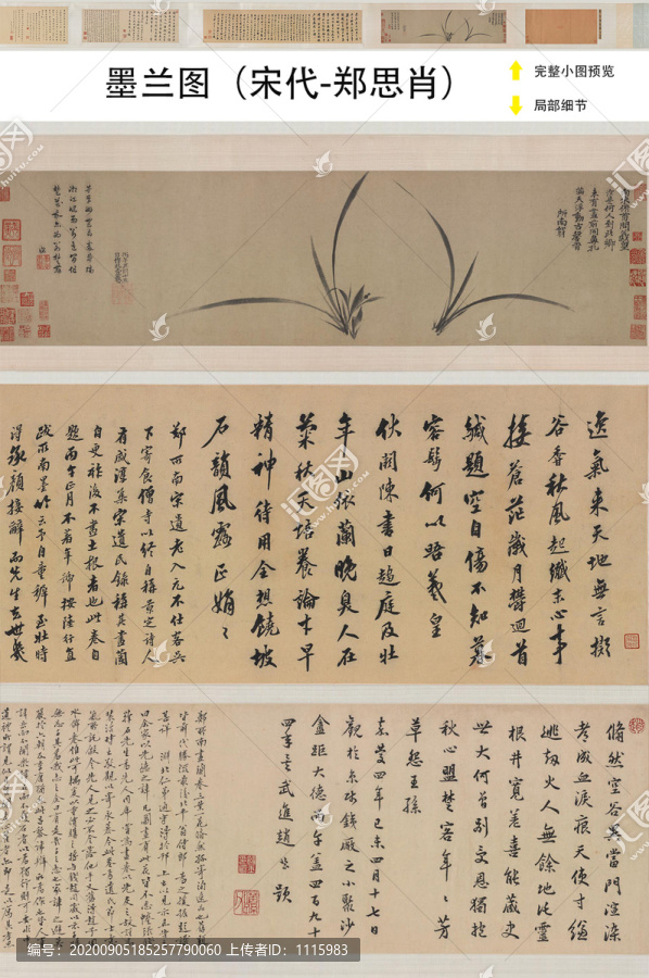 鄭思肖宋代鄭思肖墨蘭圖
