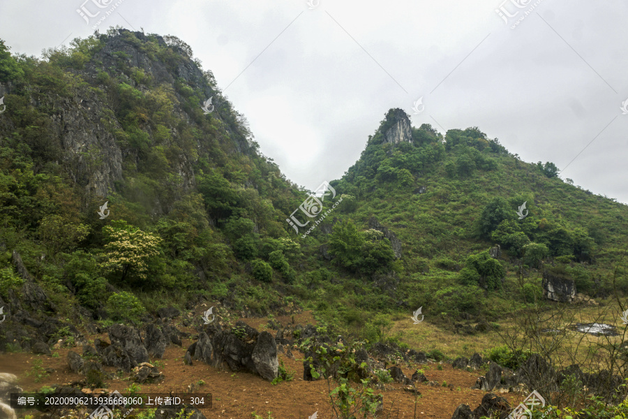 云南高山植被风光