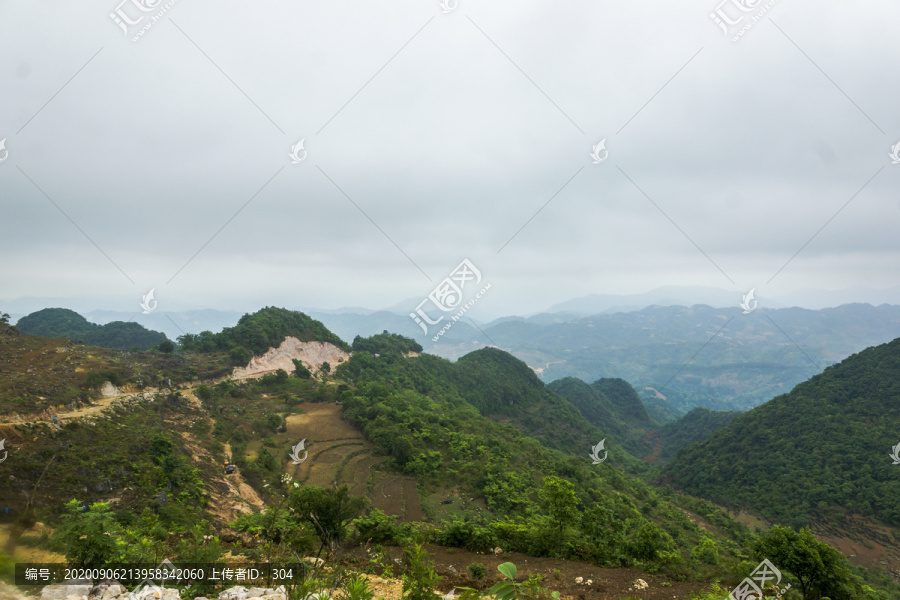 云南高山植被风光