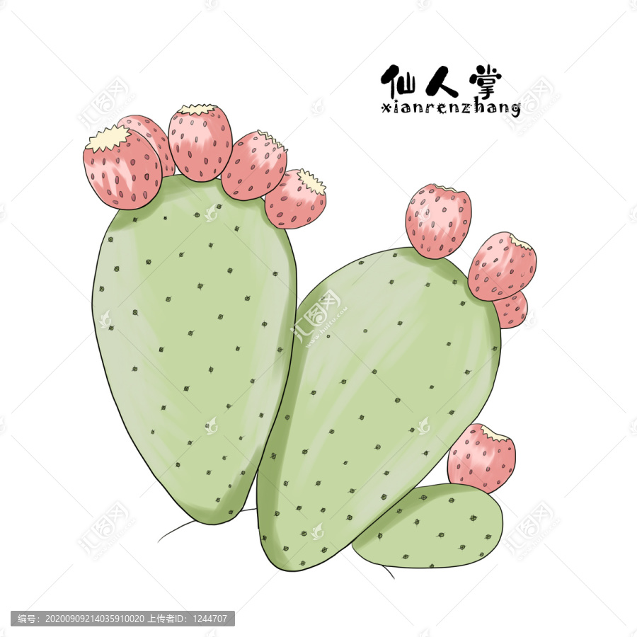仙人掌手繪插畫(huà)素材