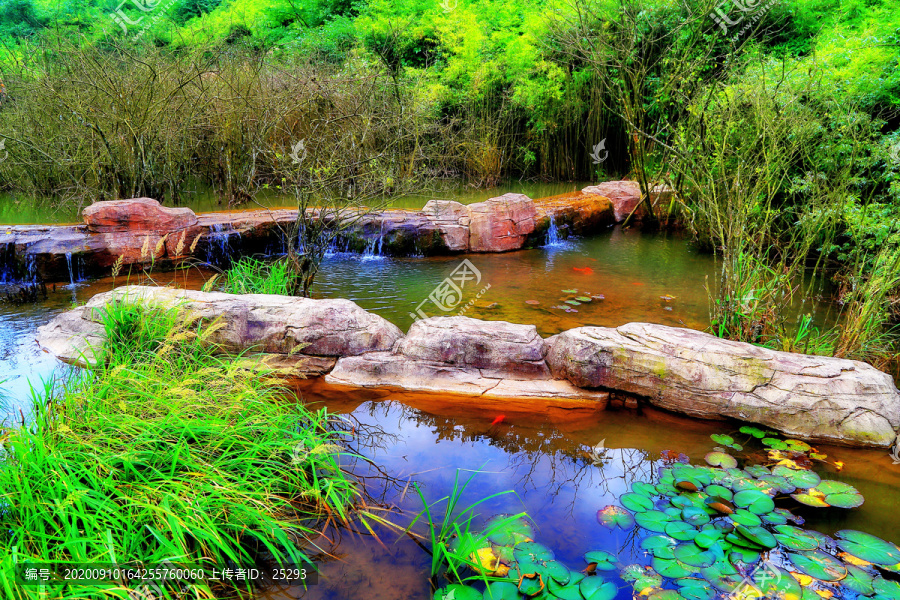 山谷湿地风景