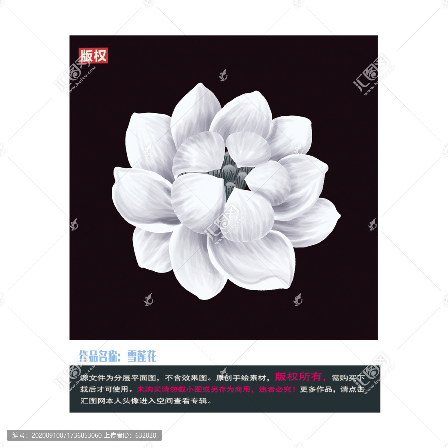 手繪雪蓮花圖片