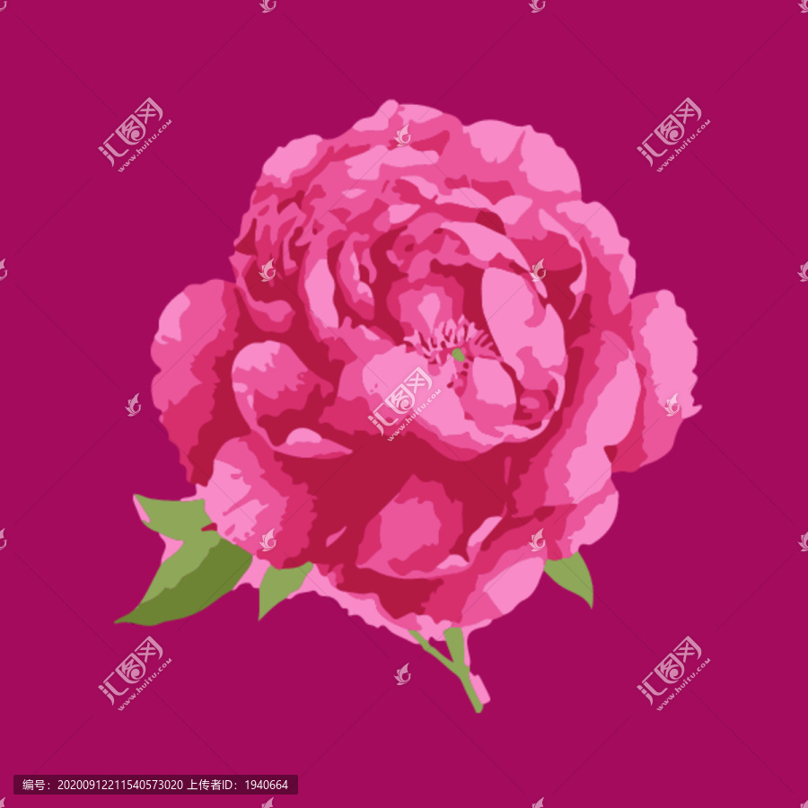 花卉
