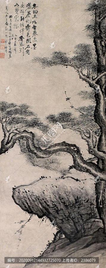 梅清虬松老梅圖
