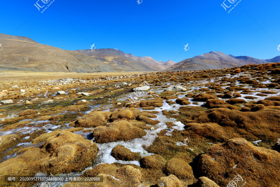 西藏风光之沼泽