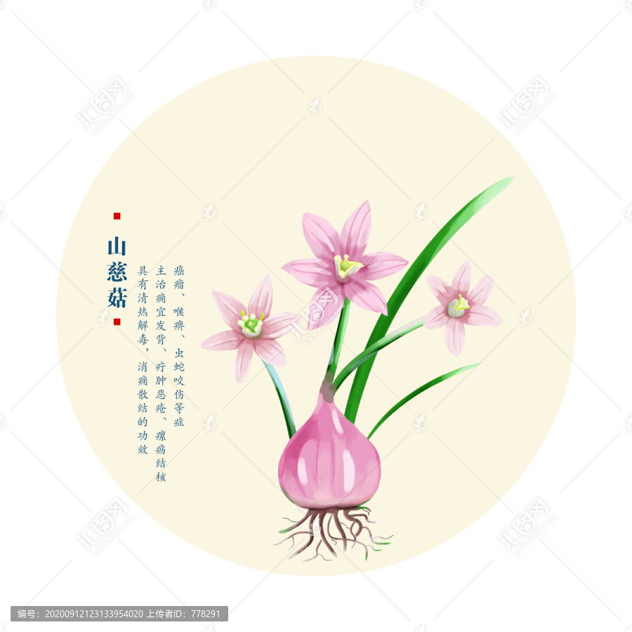 山慈姑