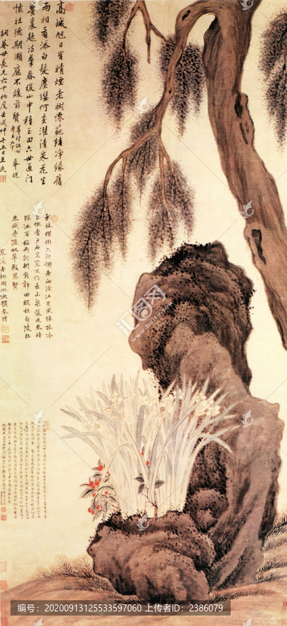 王武水仙柏石圖