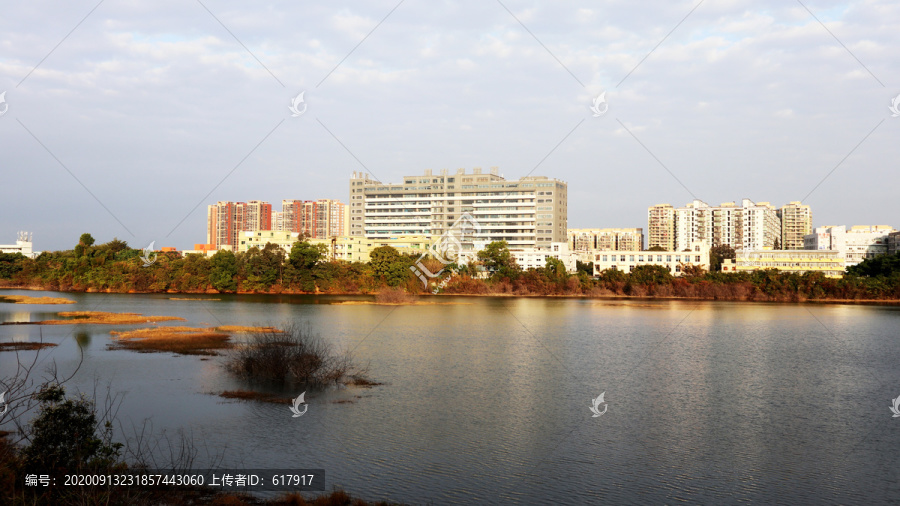 湖畔风景