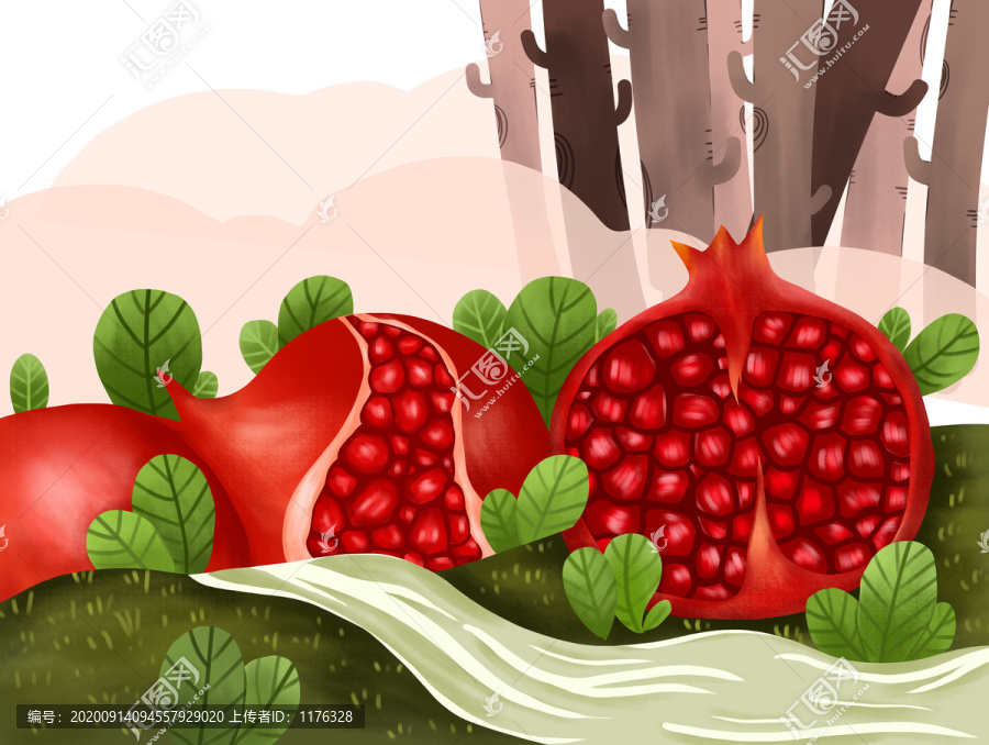 石榴插畫