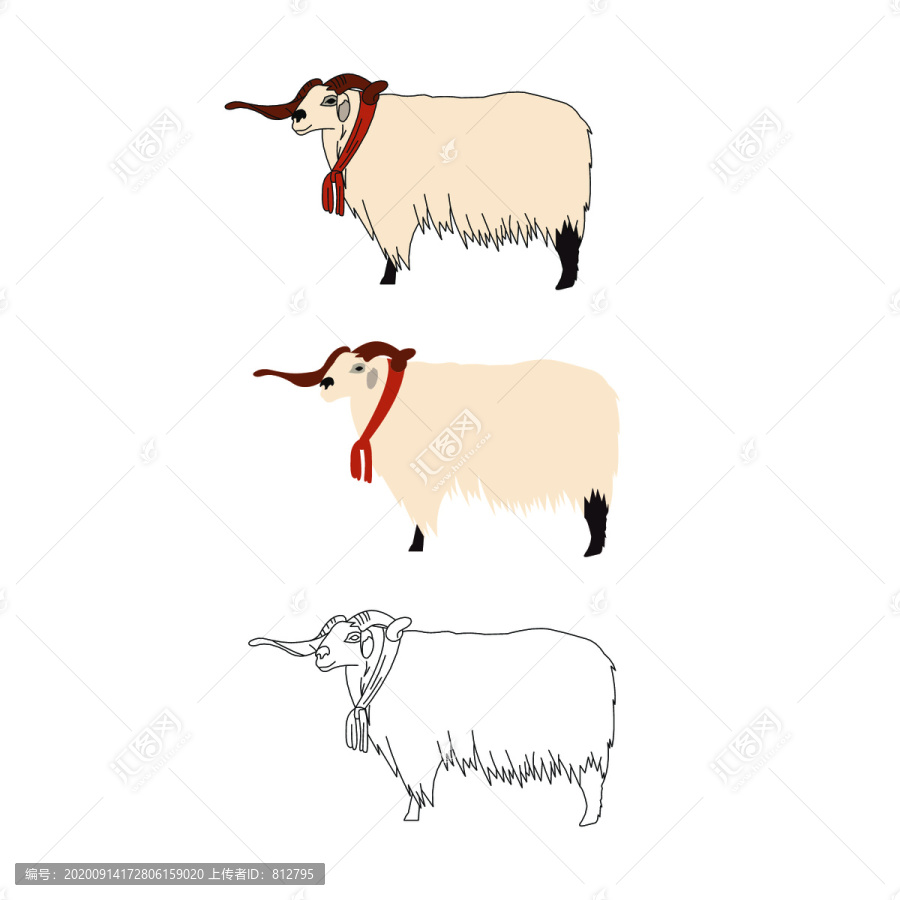 青海西藏羊