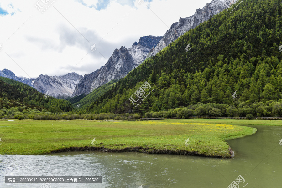 稻城亚丁1草地1湿地1流水1树