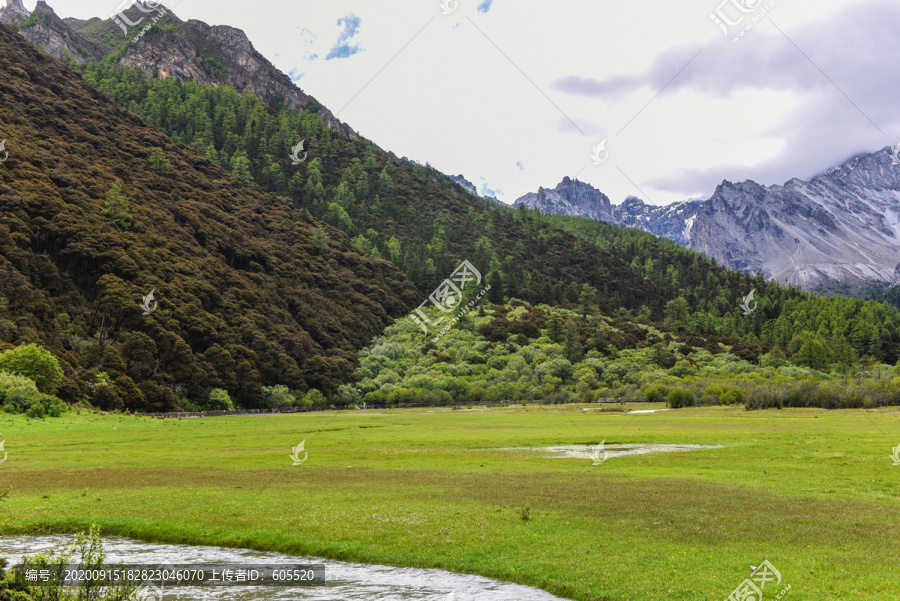 稻城亚丁1草地1湿地1流水1树